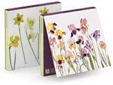 Dame Elizabeth Blackadder RA | 6 Cards and Envelopes