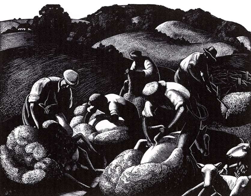 May | Sheep Shearing by Clare Leighton
