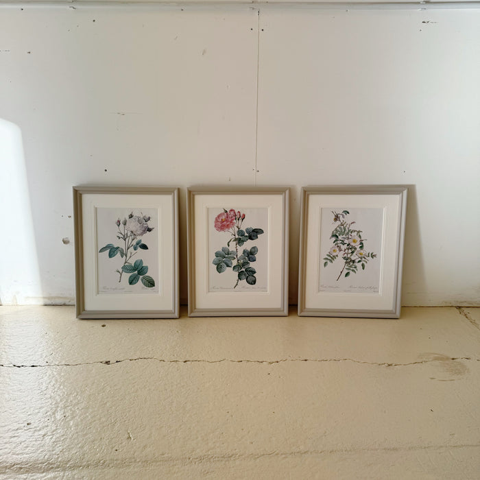 Redouté Roses Framed Set of 3