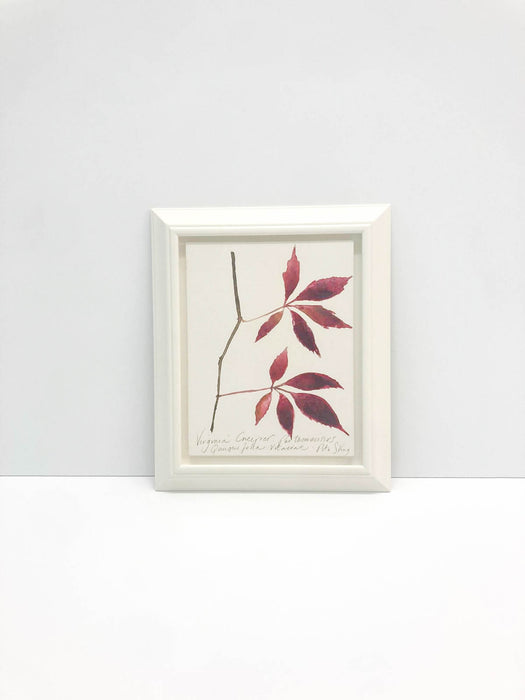 Virginia Creeper Original by Peta King | Framed Gesso Study