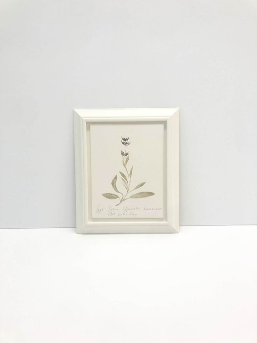 Sage Original by Peta King | Framed Gesso Study