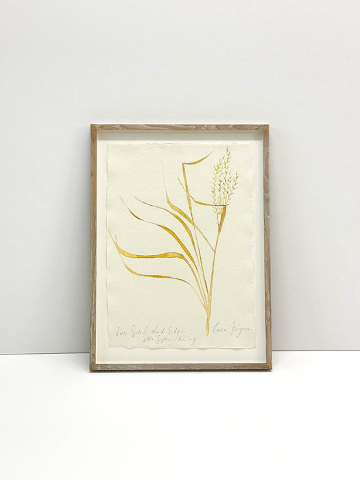 Wild Sedge Original by Peta King | Framed Paper Study