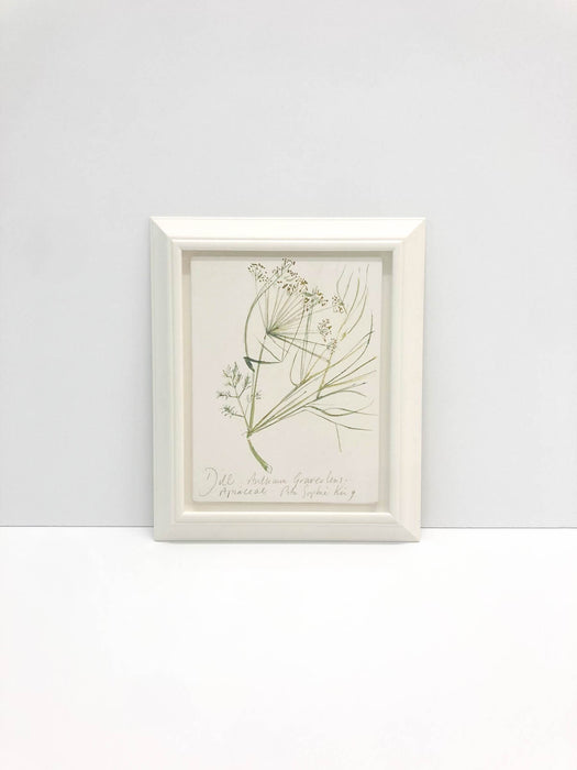 Dill Original by Peta King | Framed Gesso Study