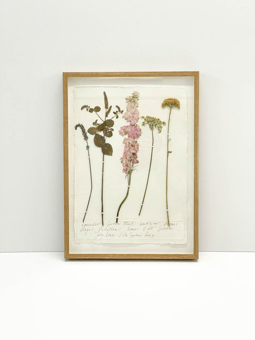 Lavender • Garden Mint • Larkspur • Ammi Majus • Achillea •Original by Peta King | A3 Pressing Framed