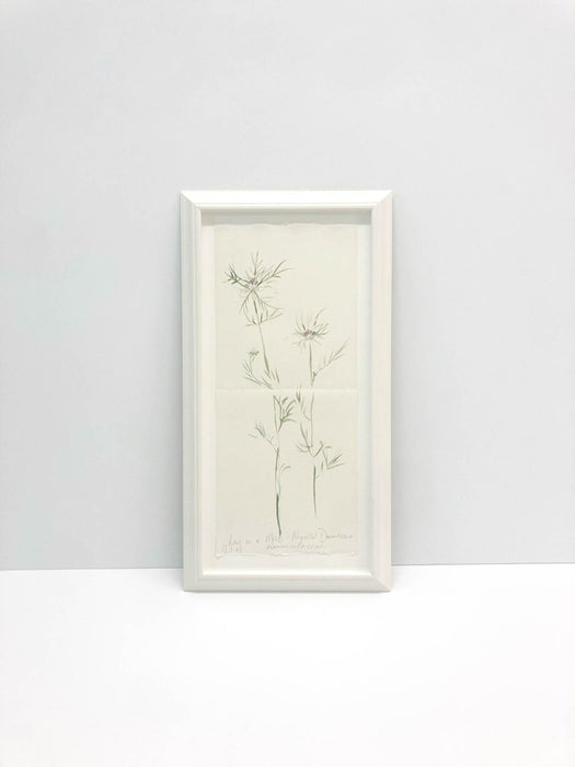 Love in a Mist Original by Peta King | Framed Paper Study