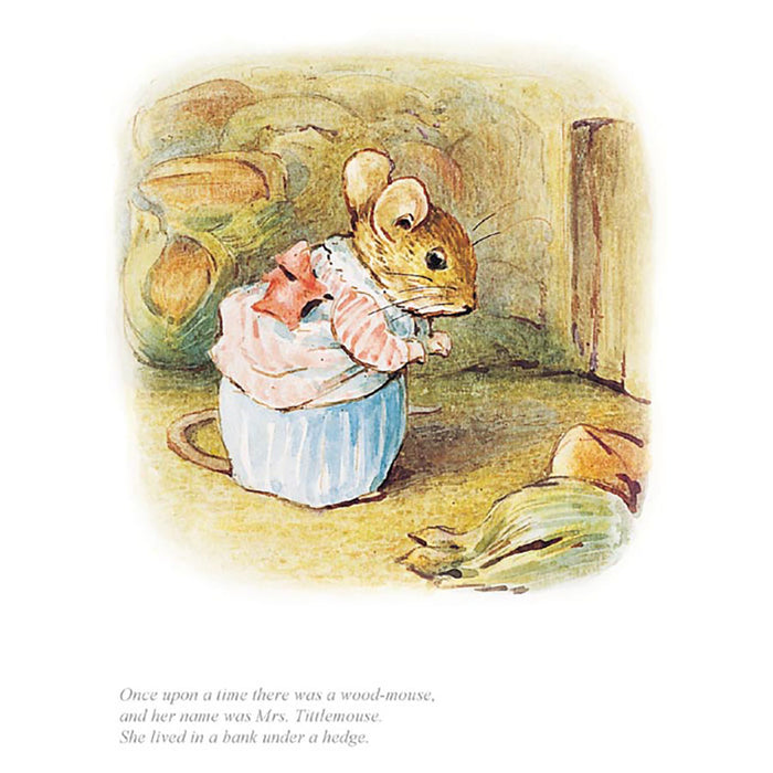 Mrs Tittlemouse By Beatrix Potter