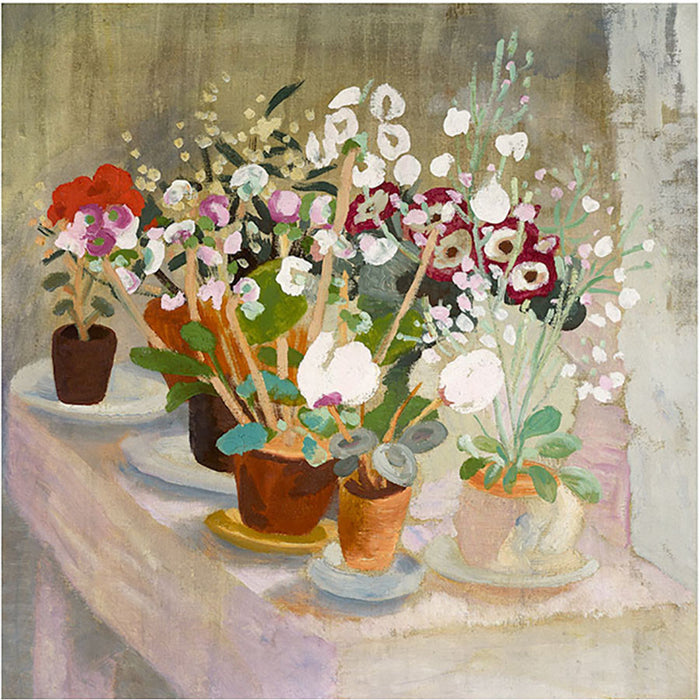 Cineraria And Cyclamen By Winifred Nicholson