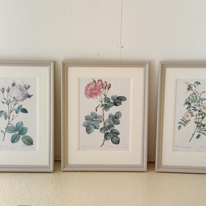 Redouté Roses Framed Set of 3