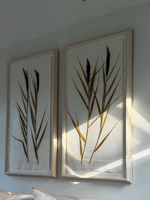Pair of Pressed Reeds by Peta King | Framed Large Special Size