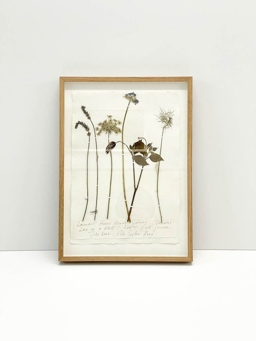 Lavender • Ammi Majus • Scabious • Clematis • Love in a Mist • Original by Peta King | A3 Pressing Framed