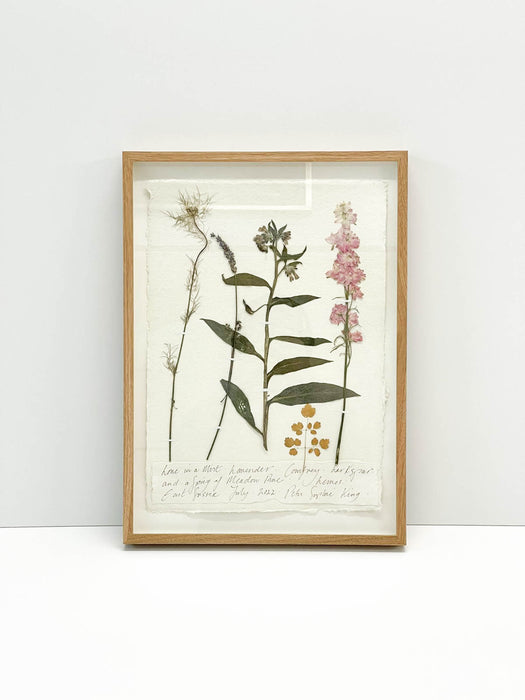 Love in a Mist • Lavender • Comfrey • Larkspur • Meadow Rue • Original by Peta King | A3 Pressing Framed