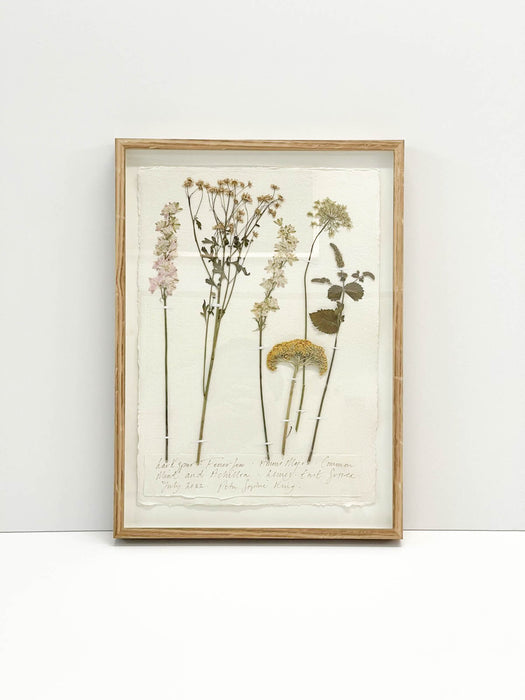 Larkspur • Feverfew • Ammi Majus • Garden Mint • Achillea Original by Peta King | A3 Pressing Framed