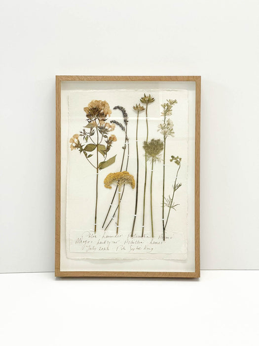 Phlox • Lavender • Astrantia • Ammi Majus • Larkspur • Achillea Original by Peta King | A3 Pressing Framed