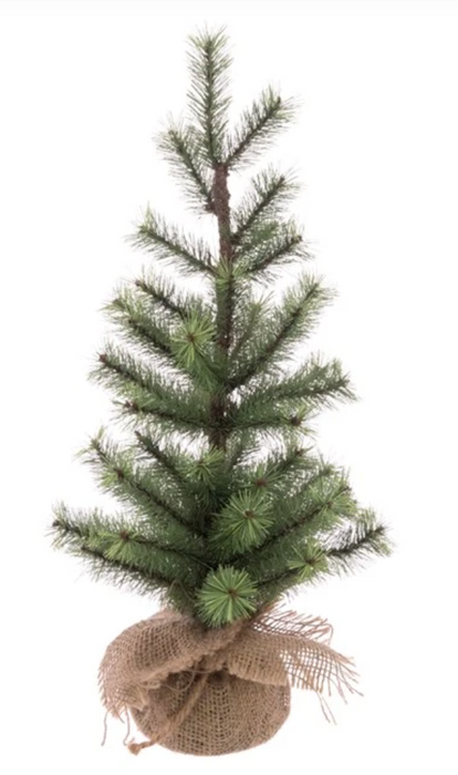 Christmas Pine Tree Wrapped in Burlap
