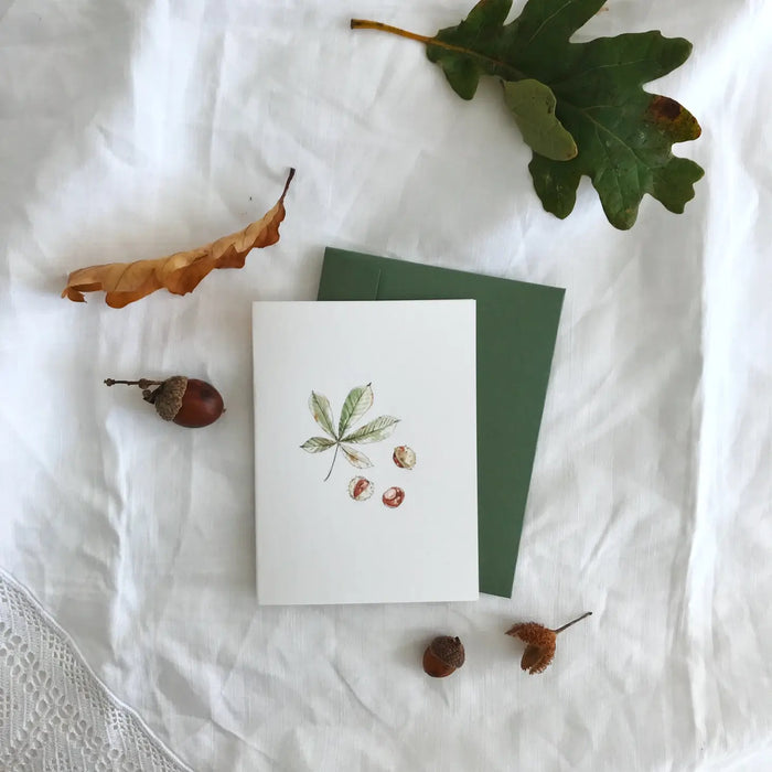 Mini Conker Botanical Illustration Greeting Card