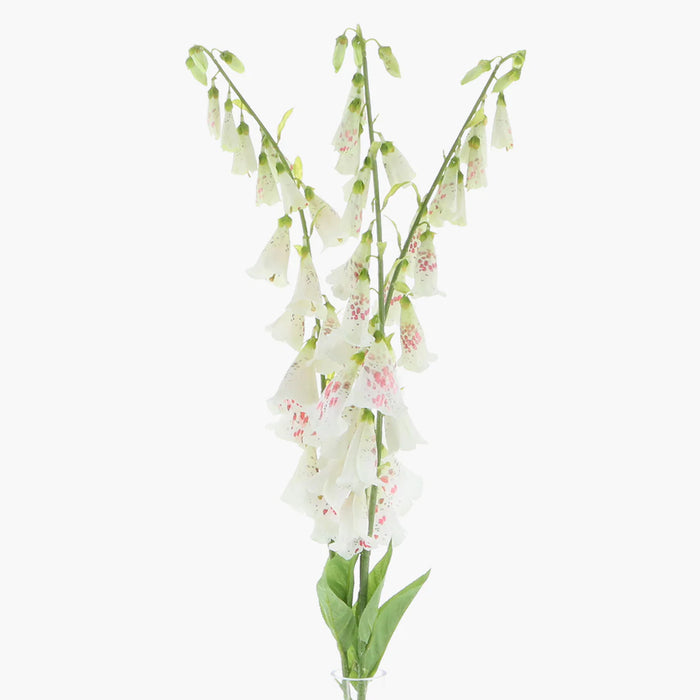 Faux Foxglove Flower