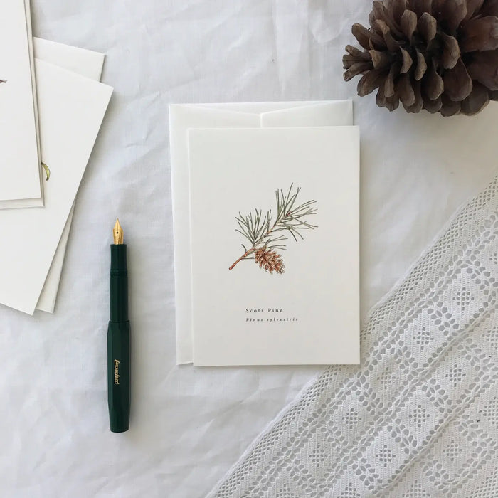 Scots Pine A Natural Year Greeting Card