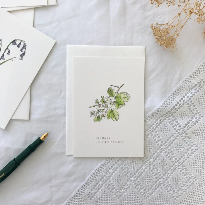 Hawthorn A Natural Year Greeting Card