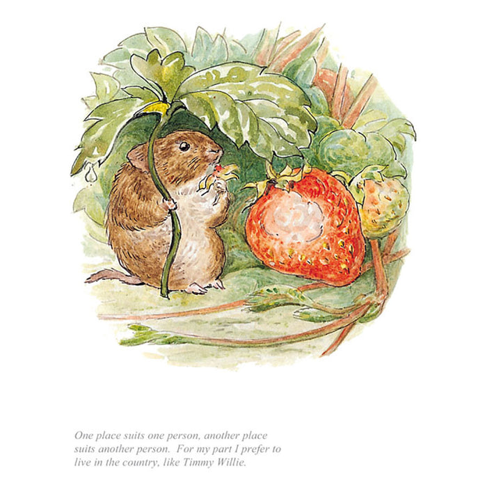 I Prefer To Live In The Country By Beatrix Potter