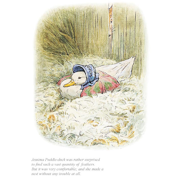 Jemima Puddle Duck Was Rather Surprised To Find A Quantity Of Feathers By Beatrix Potter