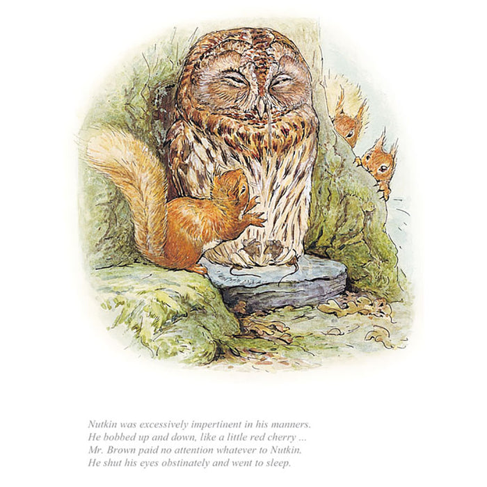 Mr Brown Paid No Attention Squirrel Nutkin By Beatrix Potter