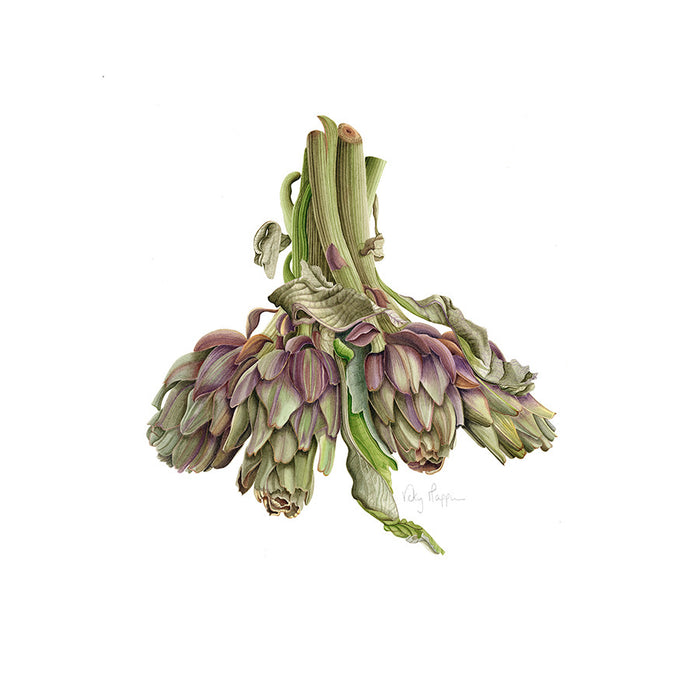 Bunch of Artichokes By Vicky Mappin
