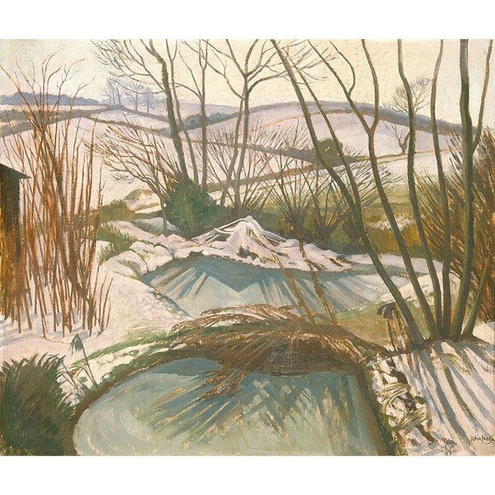 Frozen Ponds By John Nash
