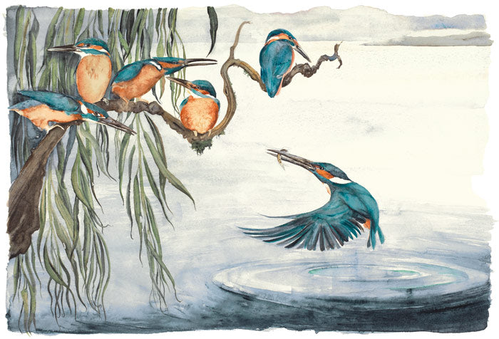 The Lost Words: Kingfishers by Jackie Morris and Robert Mcfarlane