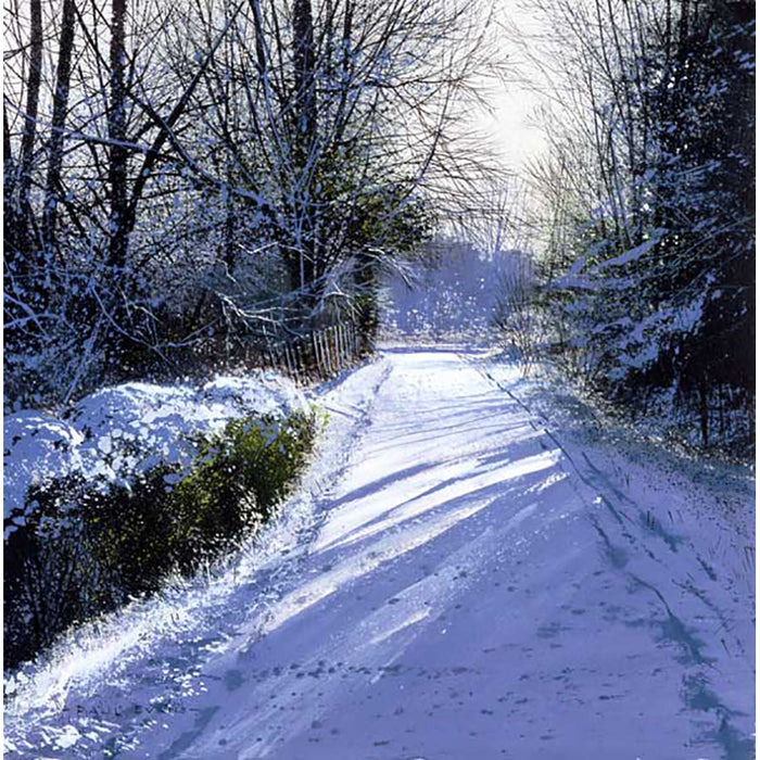 Winter Shadows By Paul Evans