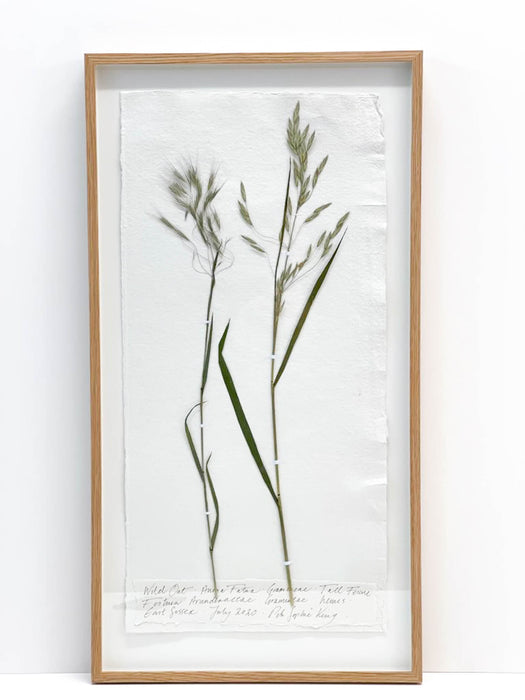 Wild Oat Original by Peta King | Framed Special Size Slim