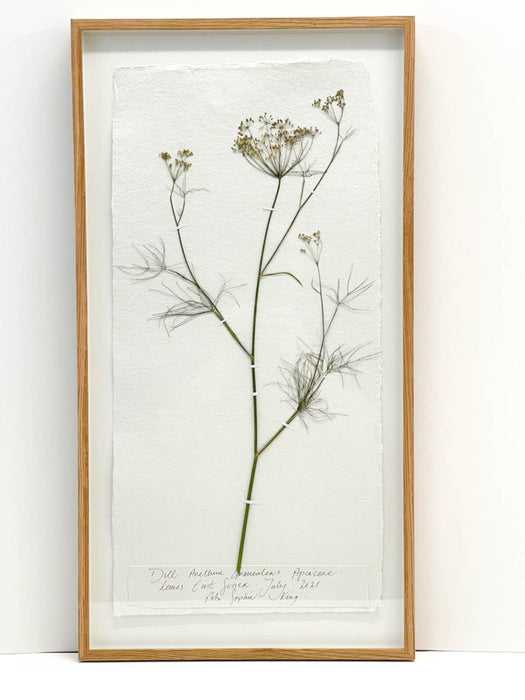 Dill Original by Peta King | Framed Special Size Slim