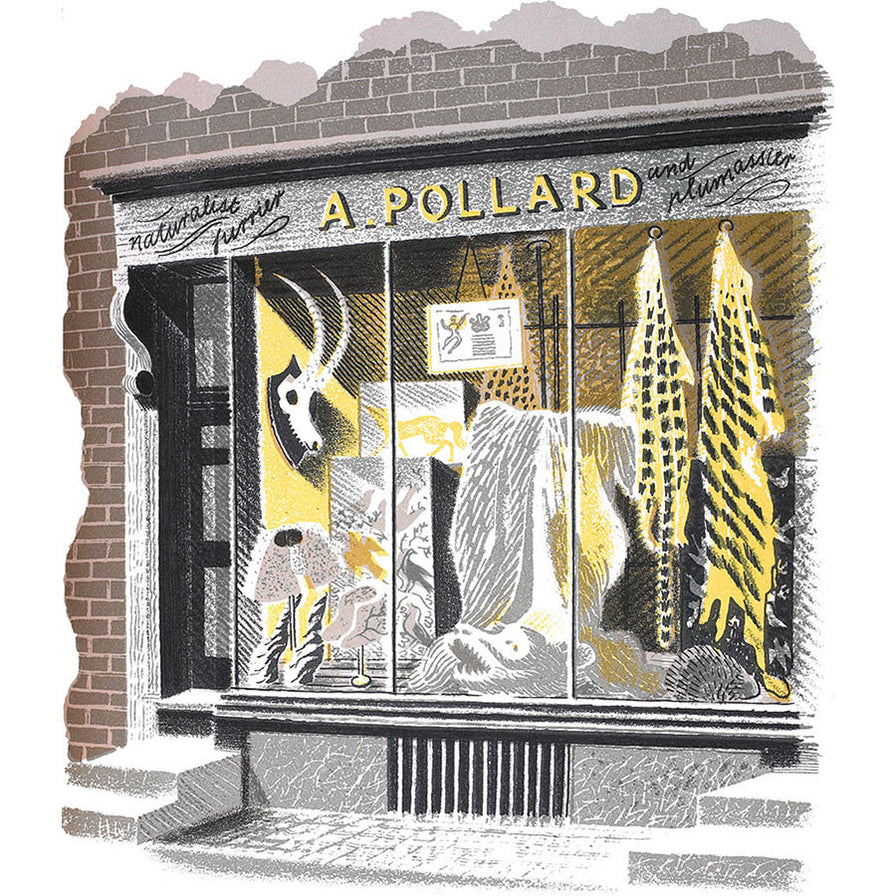 High Street Series | Naturalist By Eric Ravilious | Kings Framers