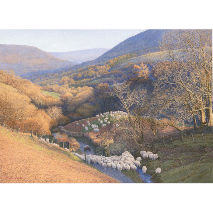 Valley With Sheep By Michael Embden