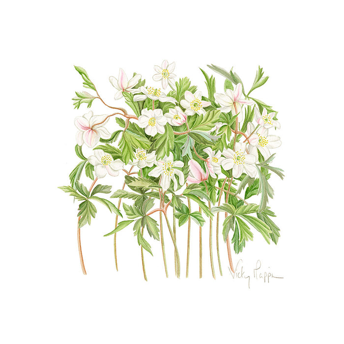 Wood Anemonies By Vicky Mappin