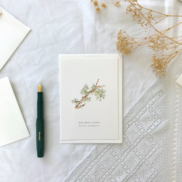 Oak Moss Lichen A Natural Year Greeting Card
