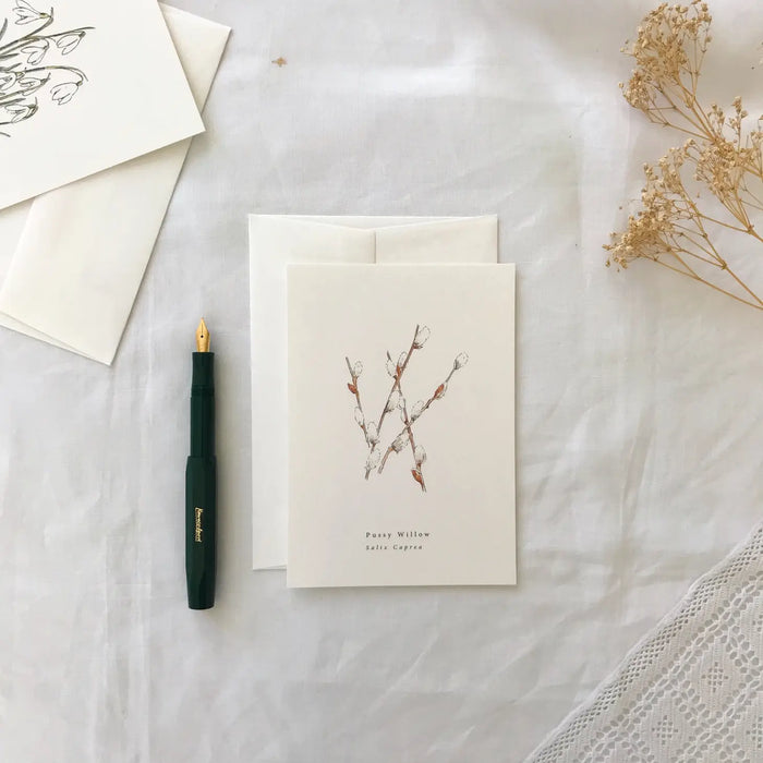 Pussy Willow Natural Year Greeting Card